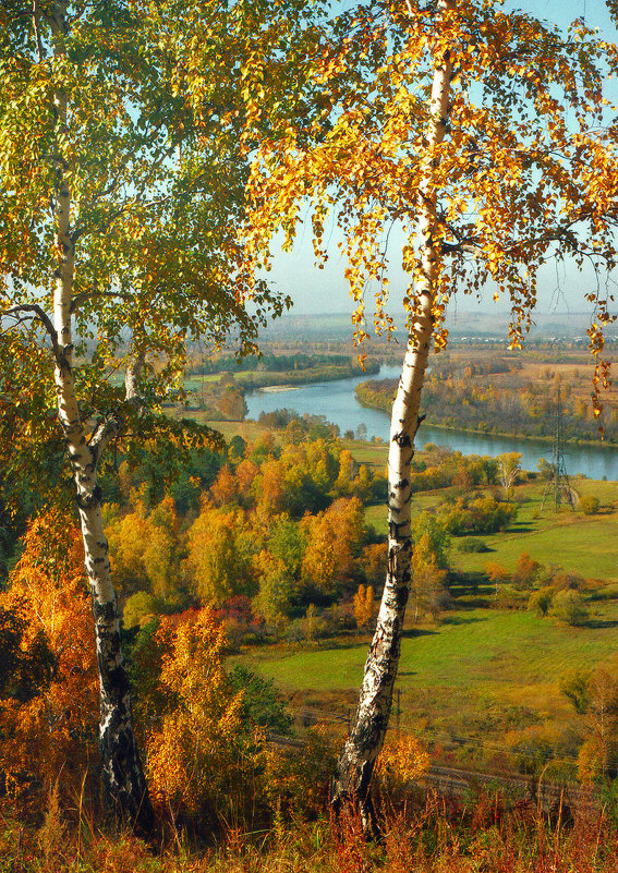 Осень в пойме Иркута - Николай Морский 