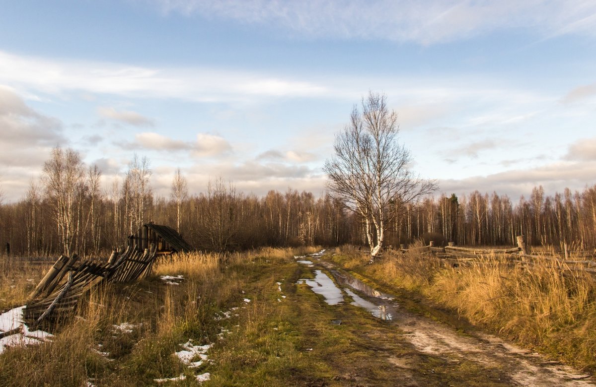 За околицей(2) - Stream 