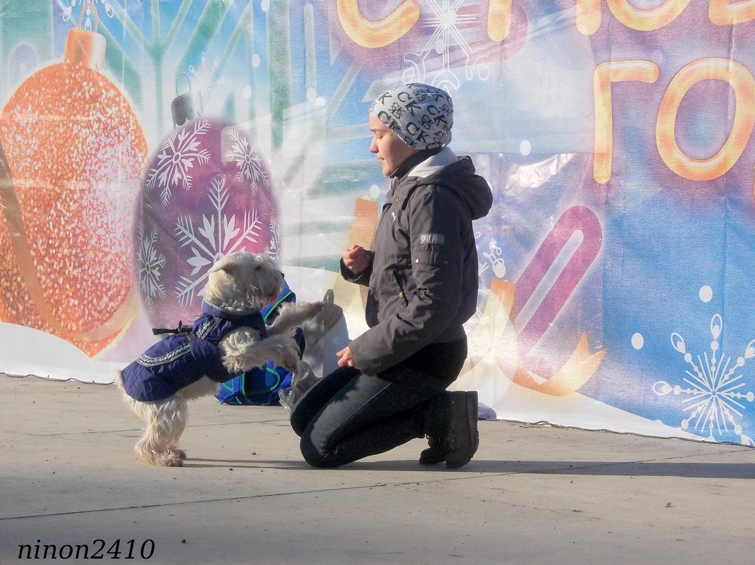 Танец с собакой - Нина Бутко