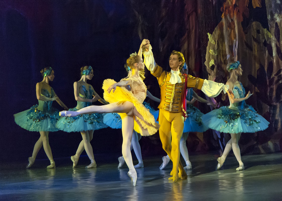 Сцена из балета "Спящая  Красавица" - Владимир Максимов