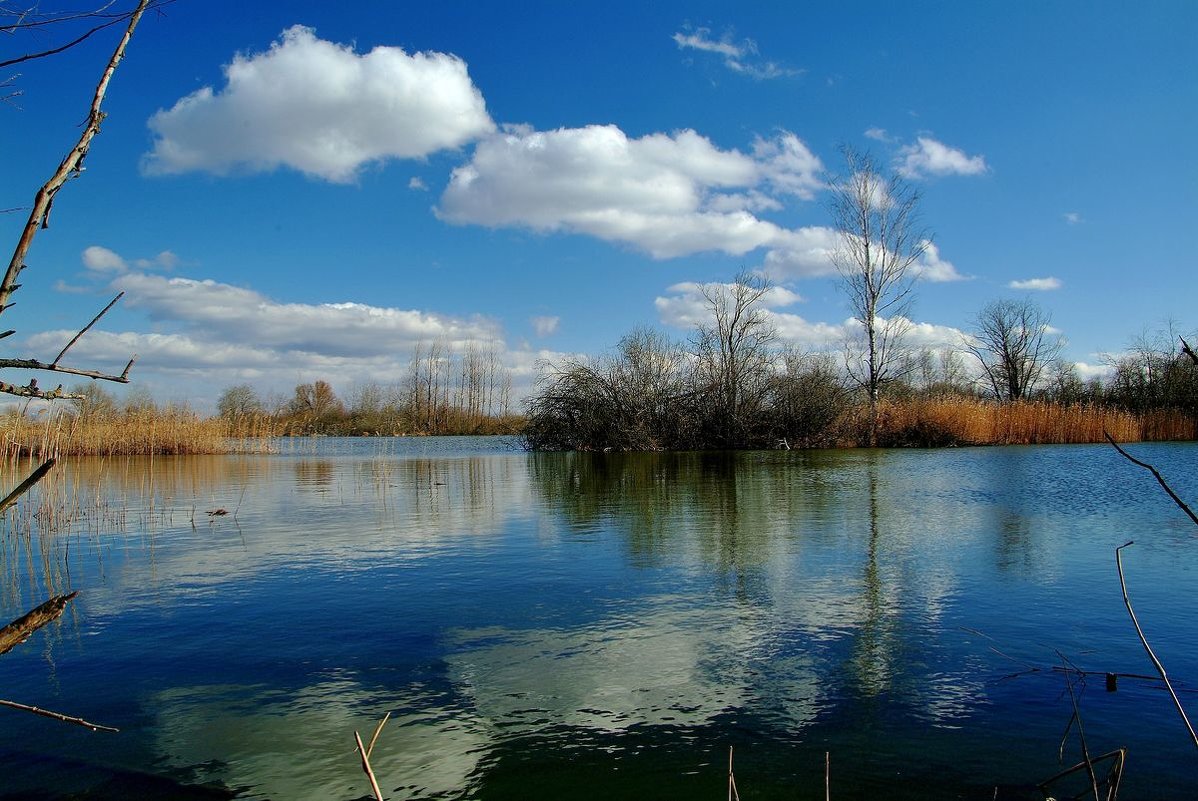 Весенний вид на озеро - Юрий Анипов 