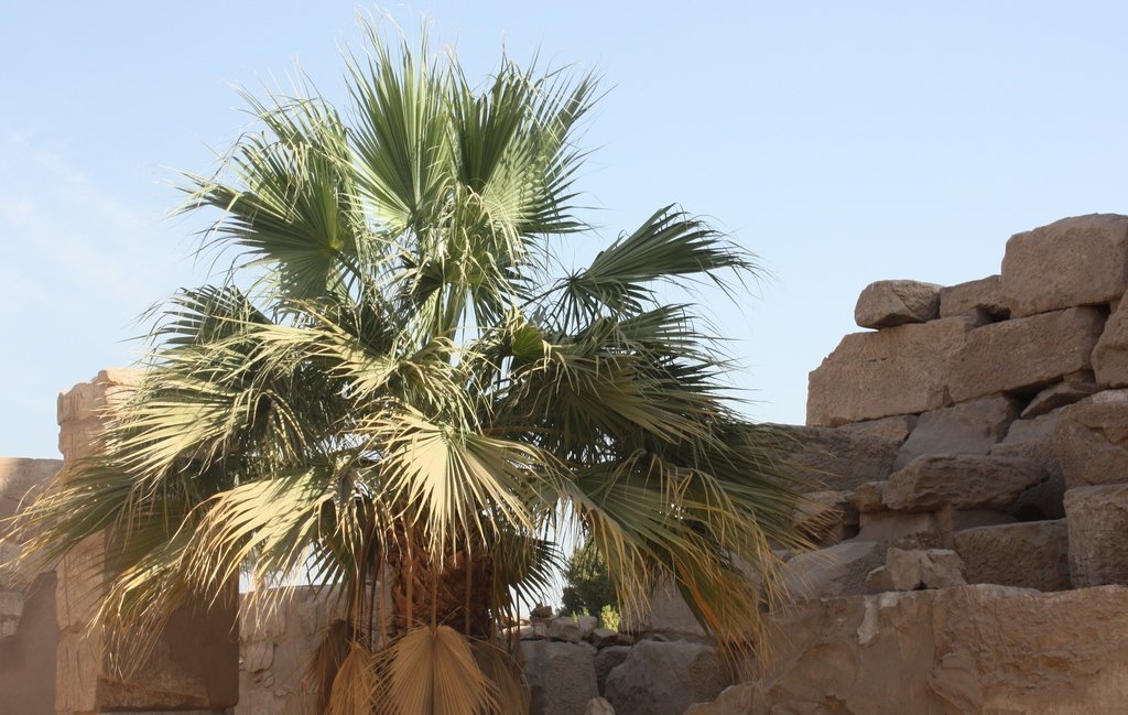 Люксор древняя столица Египта - сергеи шаманин