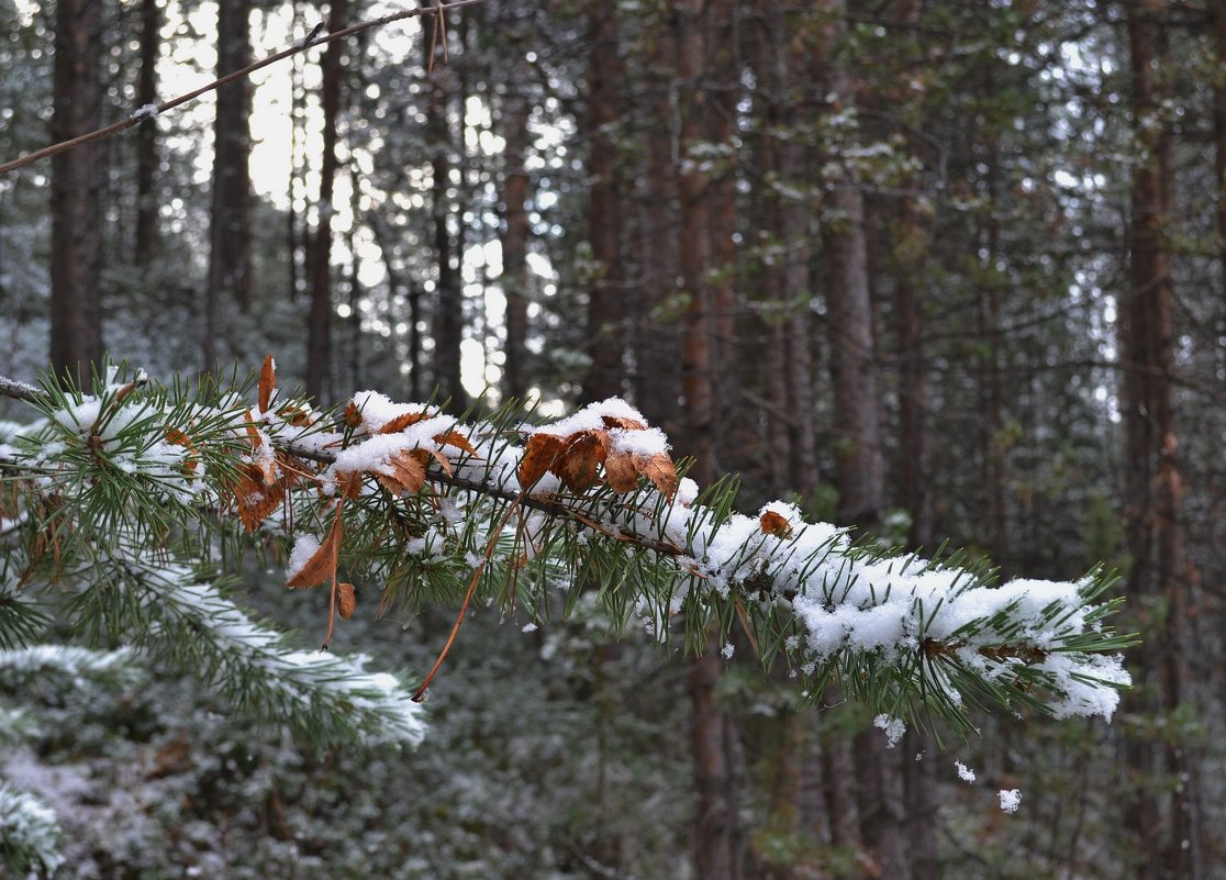 ** - Валентина 