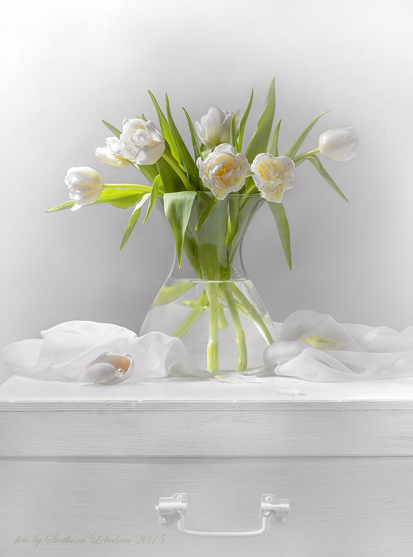 Натюрморт с белыми тюльпанами - Светлана Л.