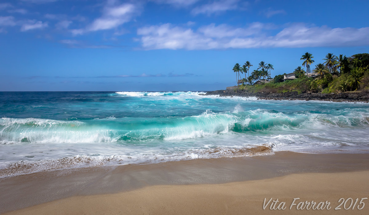 North Shore Oahu - Vita Farrar