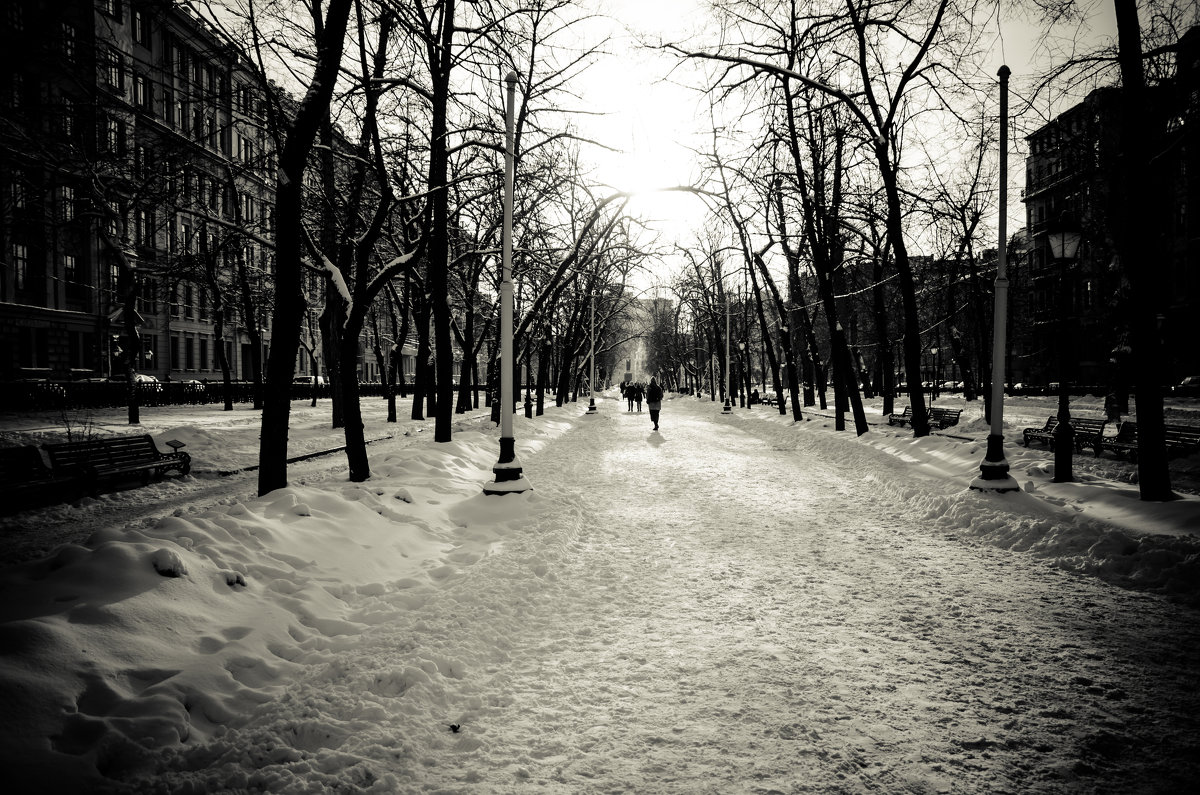 зимний бульвар - Олеся Семенова