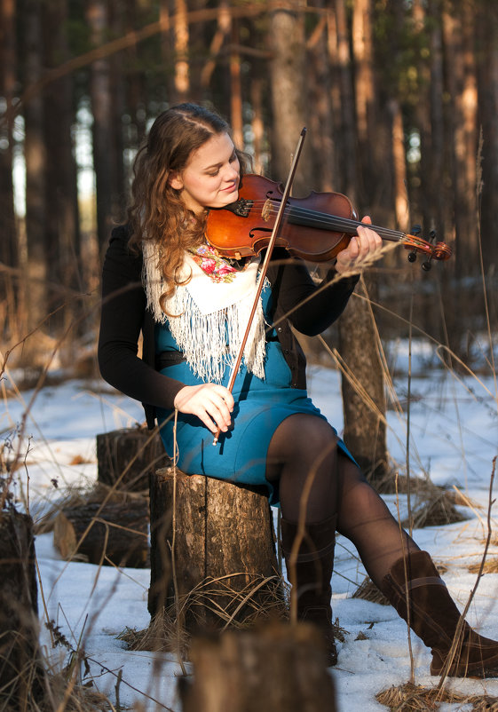 скрипка душа - Андрей Бубенин