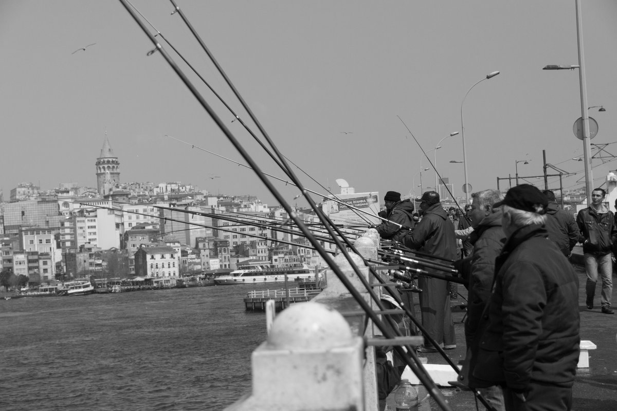 рыбаки на галатском мосту - Светлана Королева