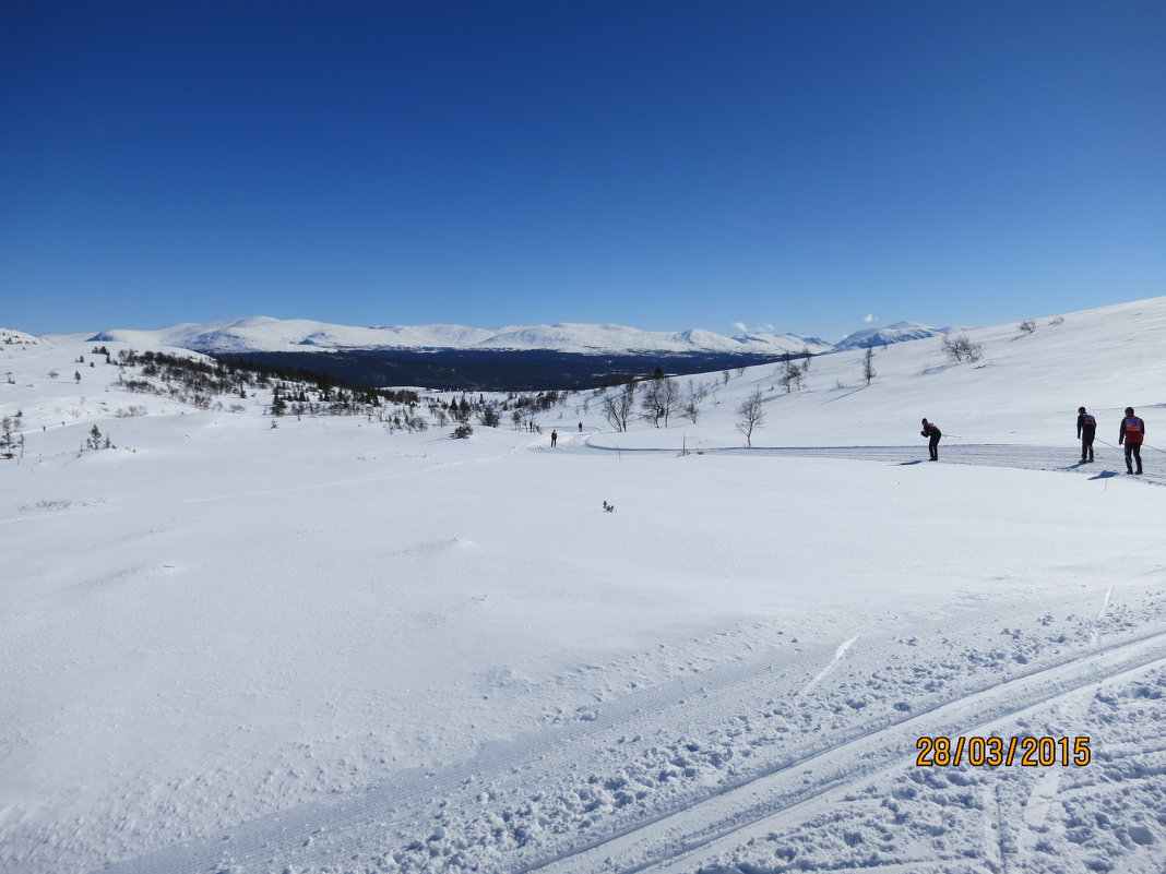 Лыжный марафон Årefjällsfoppet 2015, Швеция - Василий С