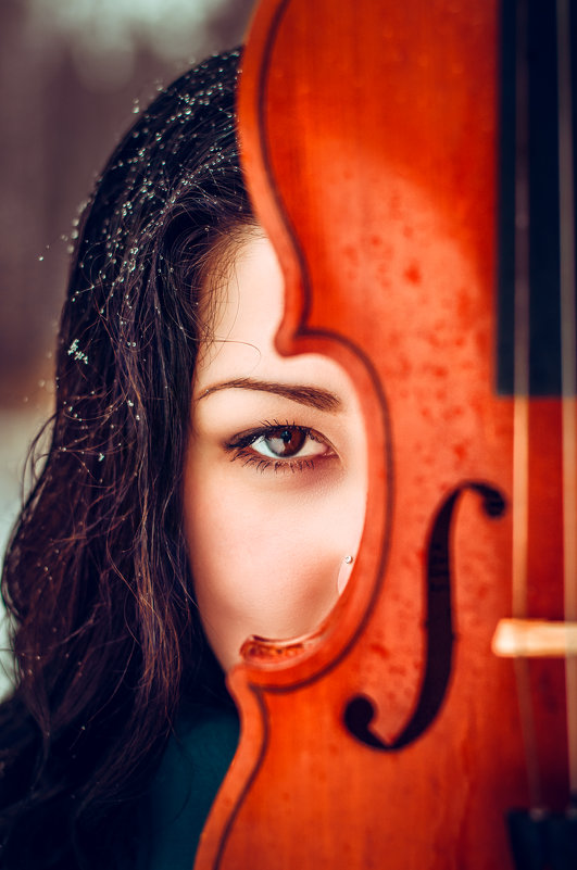 Девушка со скрипкой - Андрей Перфилов
