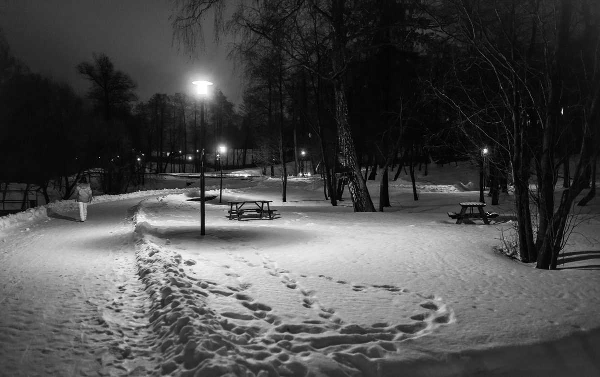 Вечерняя прогулка в зимнем парке - Константин Фролов