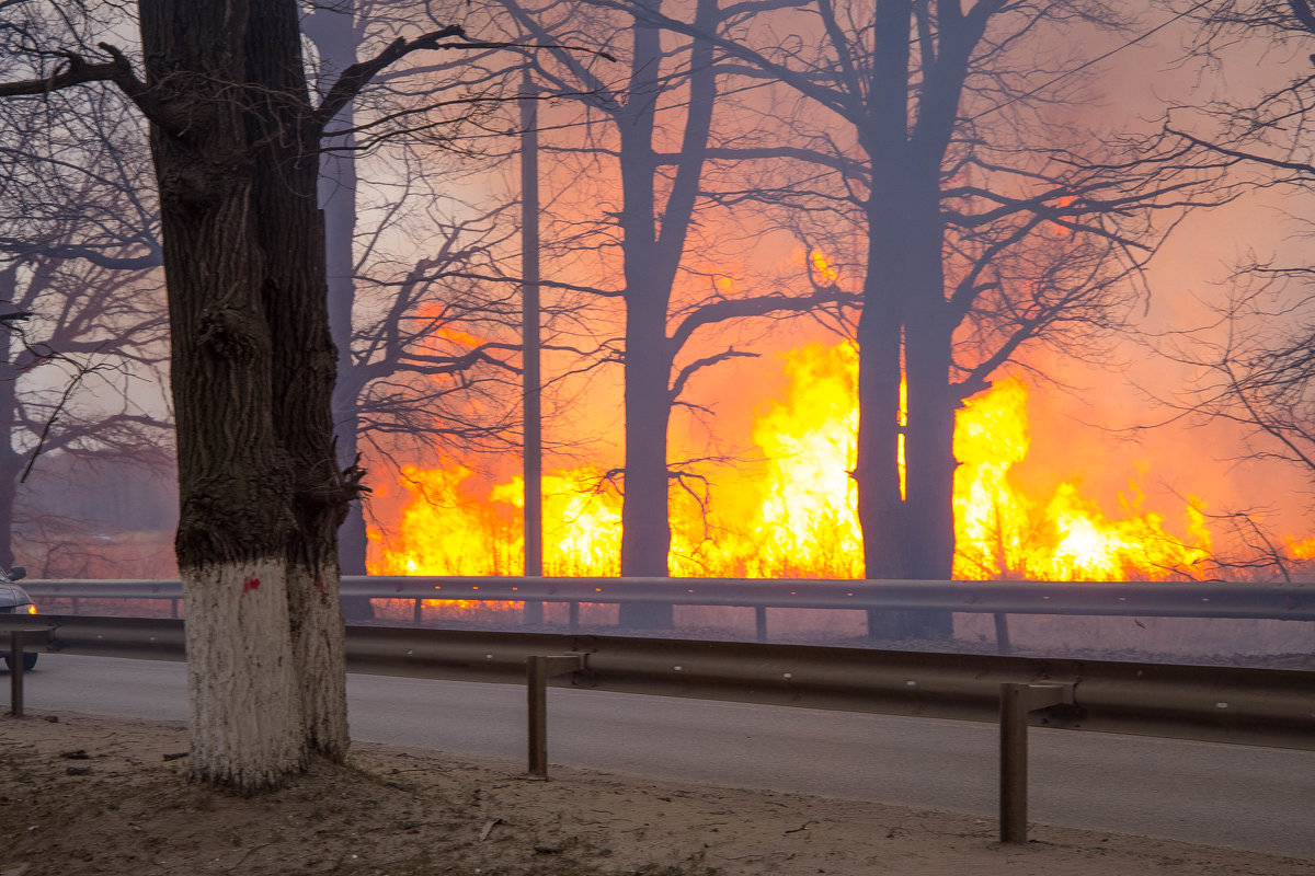 пожар на поле - Ирина Горина