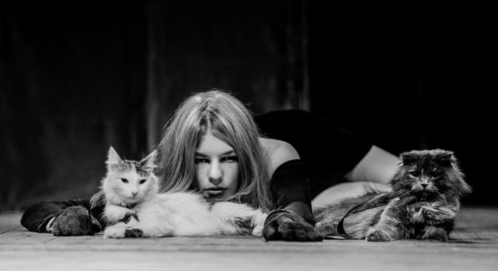Женщина-кошка - Мария Буданова