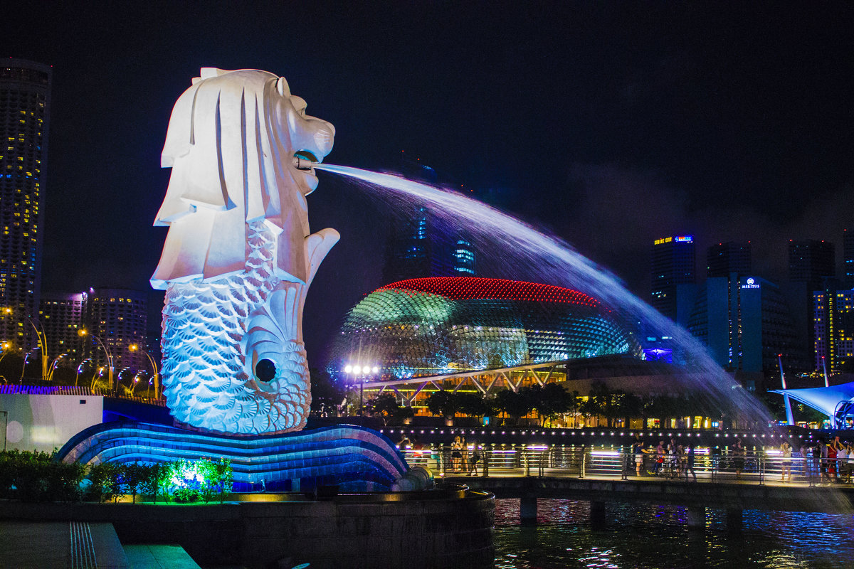Сингапур.февраль 2015 - Светлана Гайдук