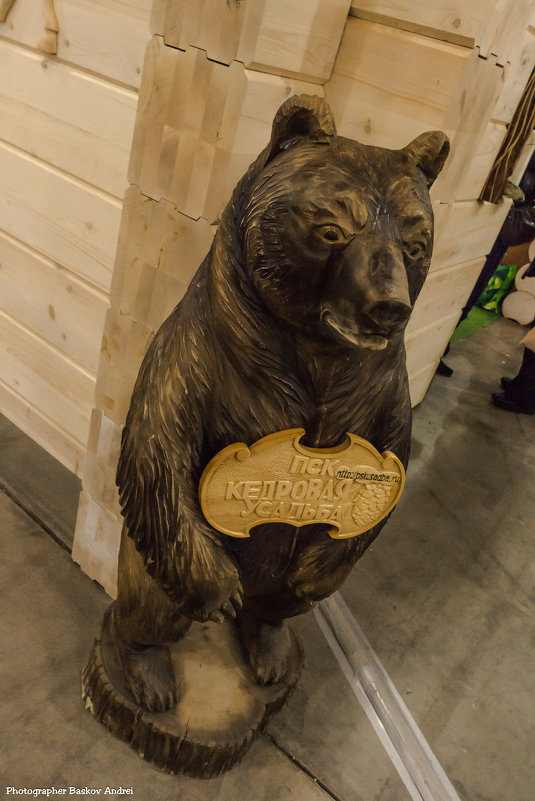 деревянный медведь - Андрей Баськов