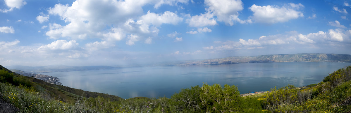 Панорама озера - Александр Деревяшкин