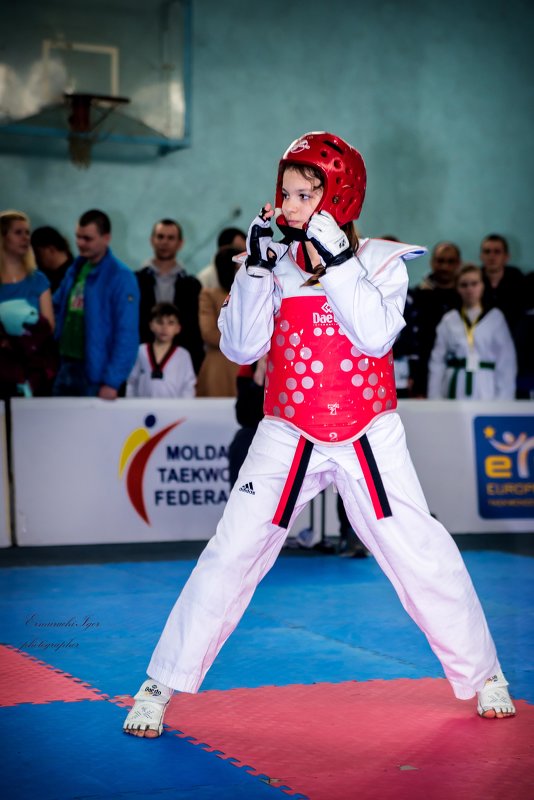 taekwondo - Игорь Ермураки