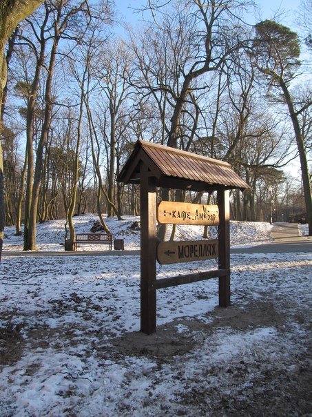 Зеленоградск - Валентина Дмитровская