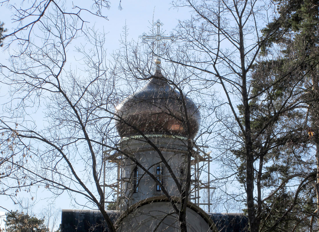 *** - Валентина Береснева