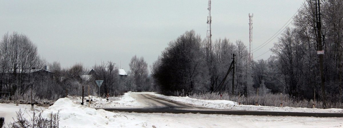 Дорога в деревню - Ирина Шурова 