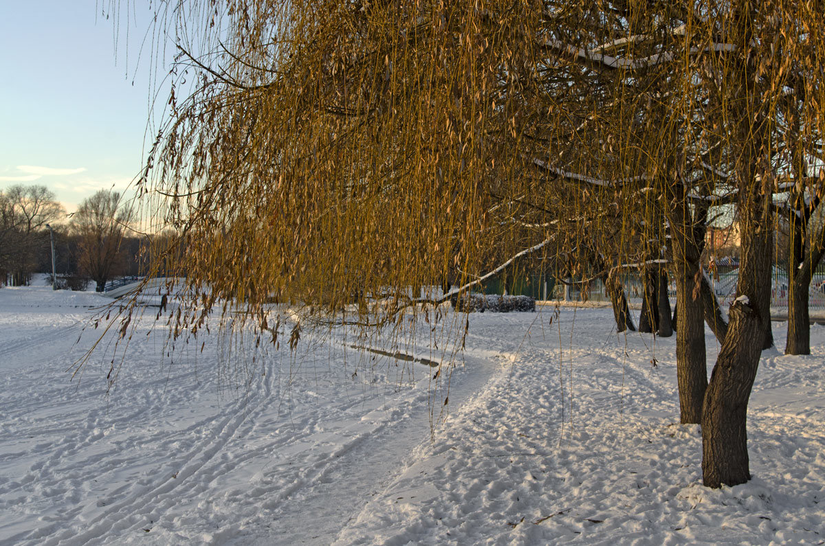 В парке - Анатолий Цыганок