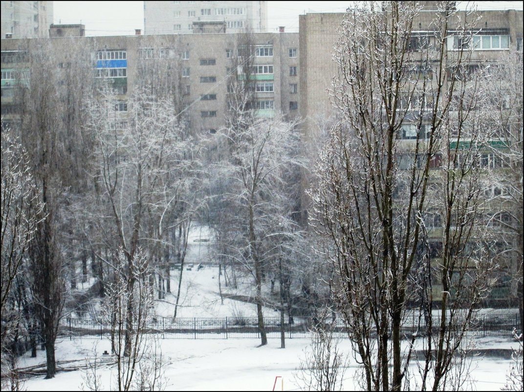 После снегопада - Самохвалова Зинаида 