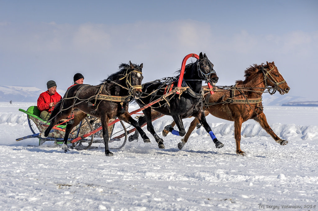 Новоселово - 2015 - Sergey Yatmasov