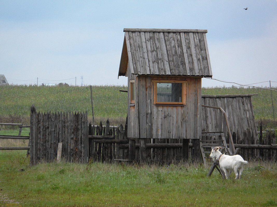 Щурово городище - Галина 