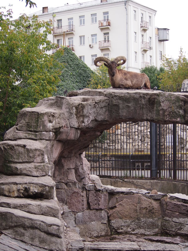 ) - Виктория Семенова