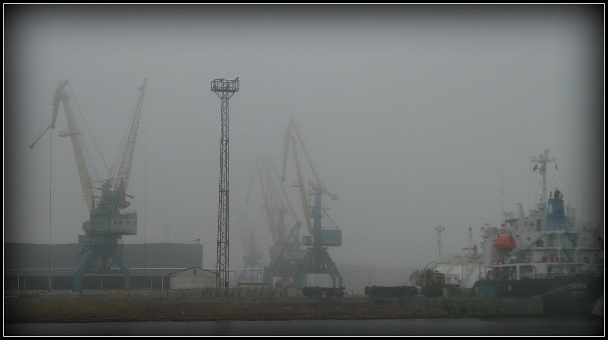 Туман в порту - Ирина Киршина