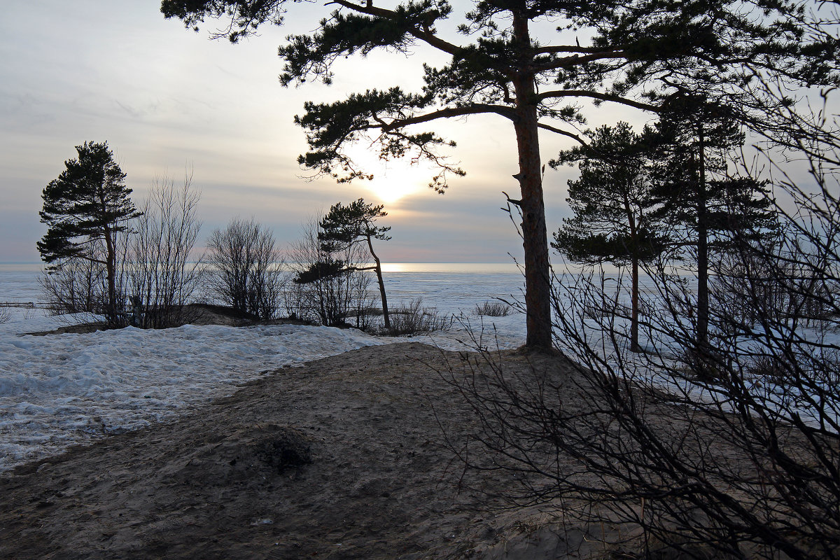 Северодвинск. Весна. Белое море. Вид с берега - Владимир Шибинский
