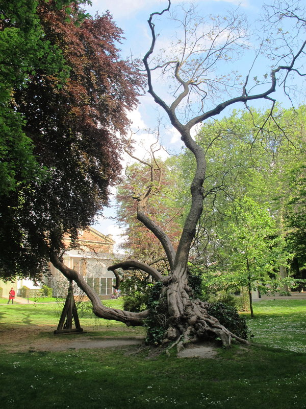 Jardin du Luxembourg, Париж - Виктор Качалов