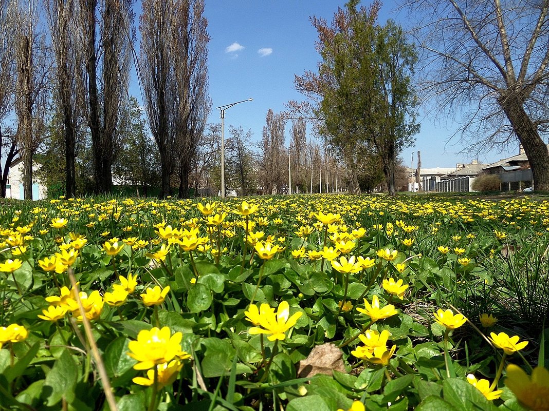 Весна в моём городе... - Сергей Петров