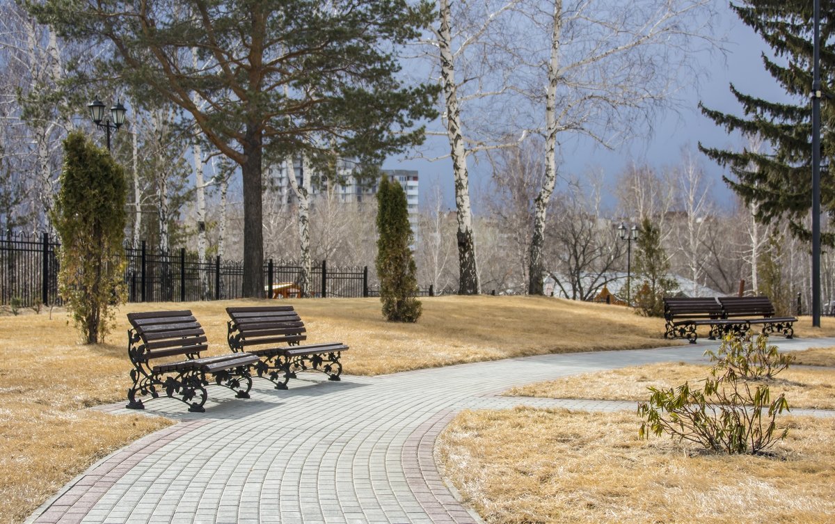 Spring in the park - Dmitry Ozersky