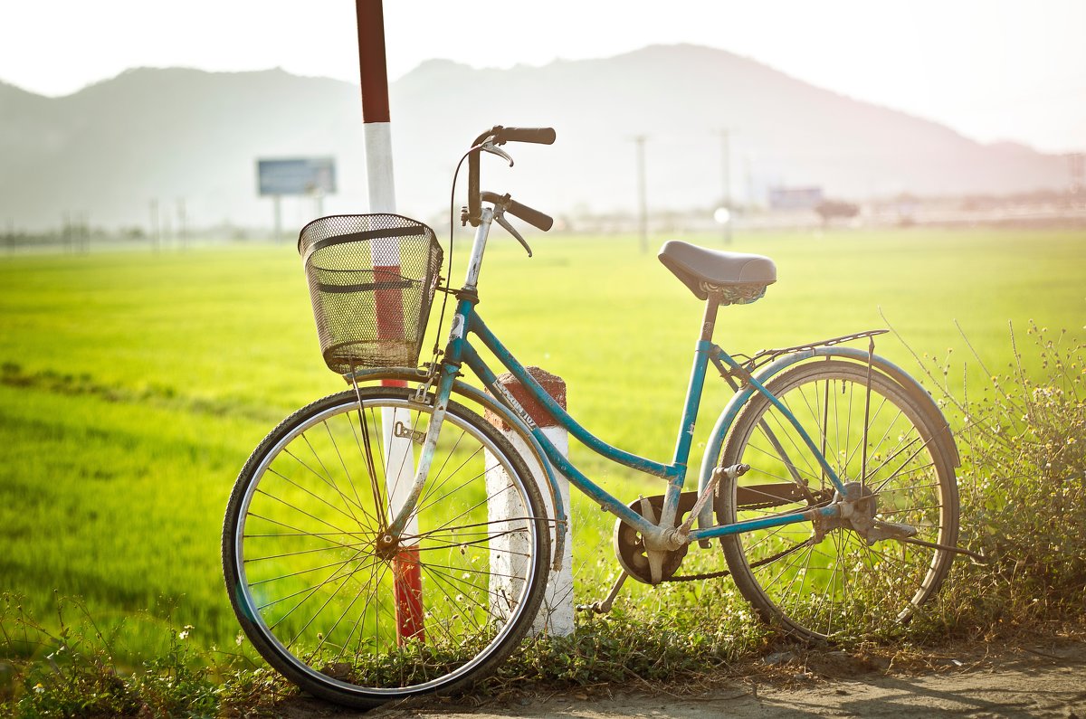 Bicycle - Дмитрий Кийко