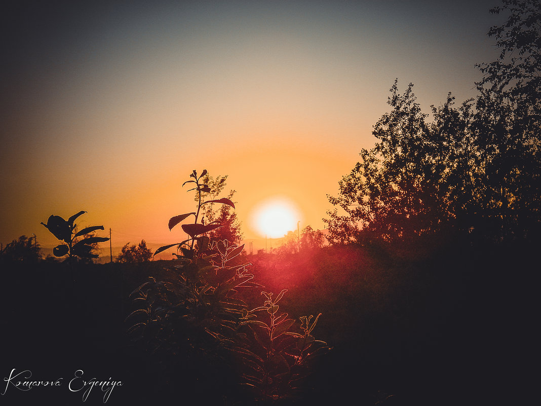 восход солнца 5 утра - Евгения Комарова