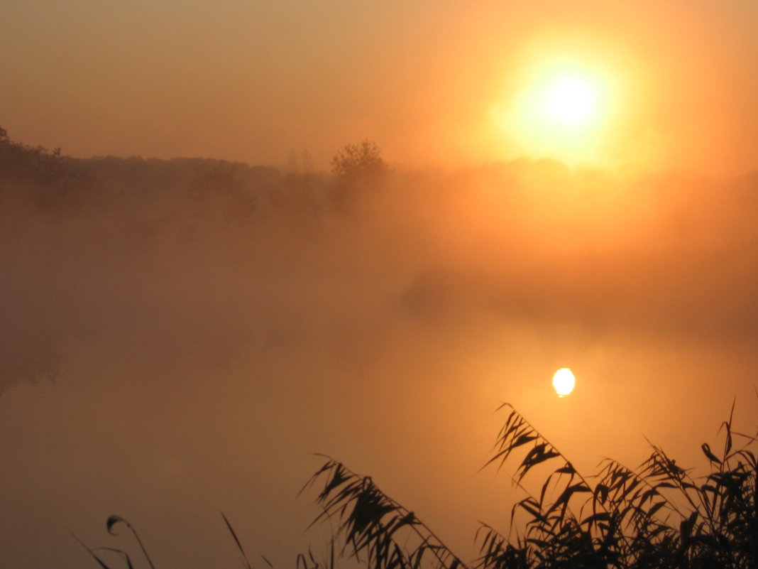 Утро восход солнца и туман - Владимир 