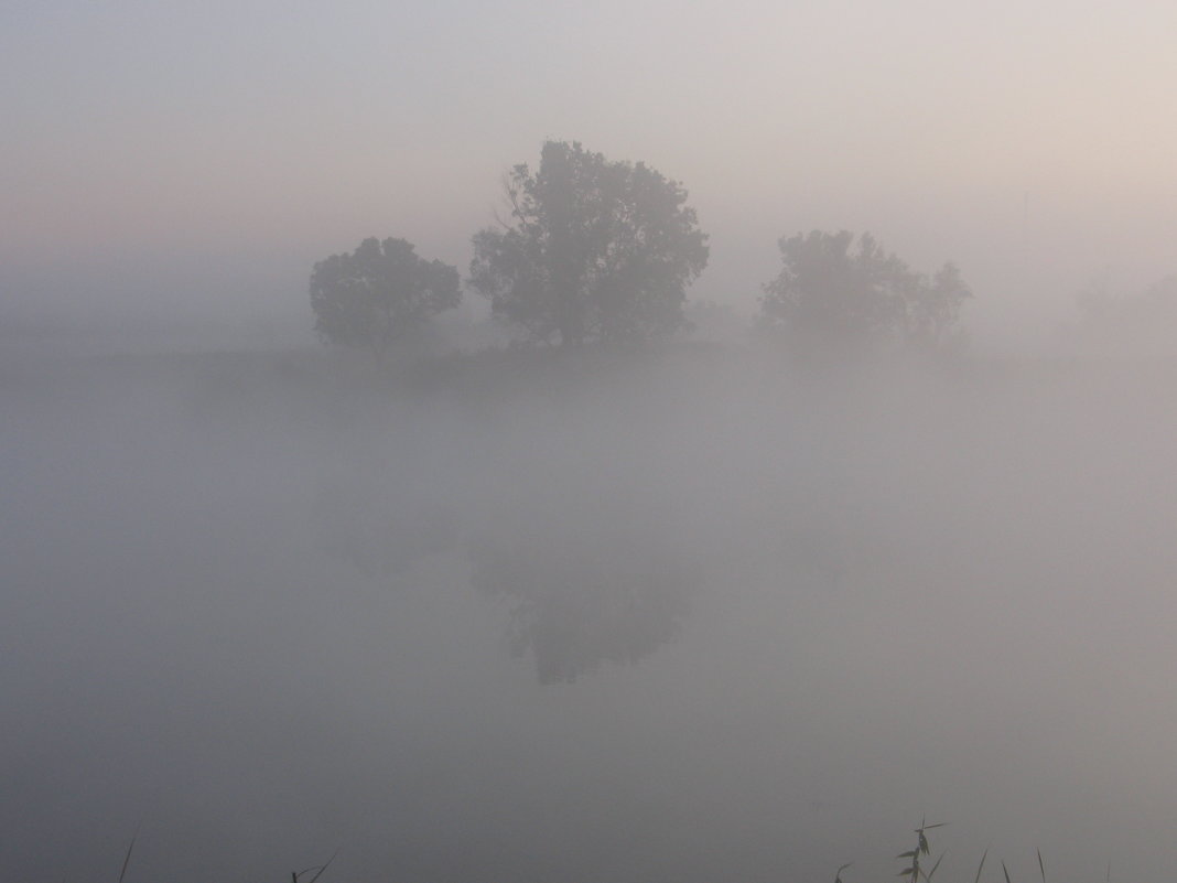 Утренний туман - Владимир 