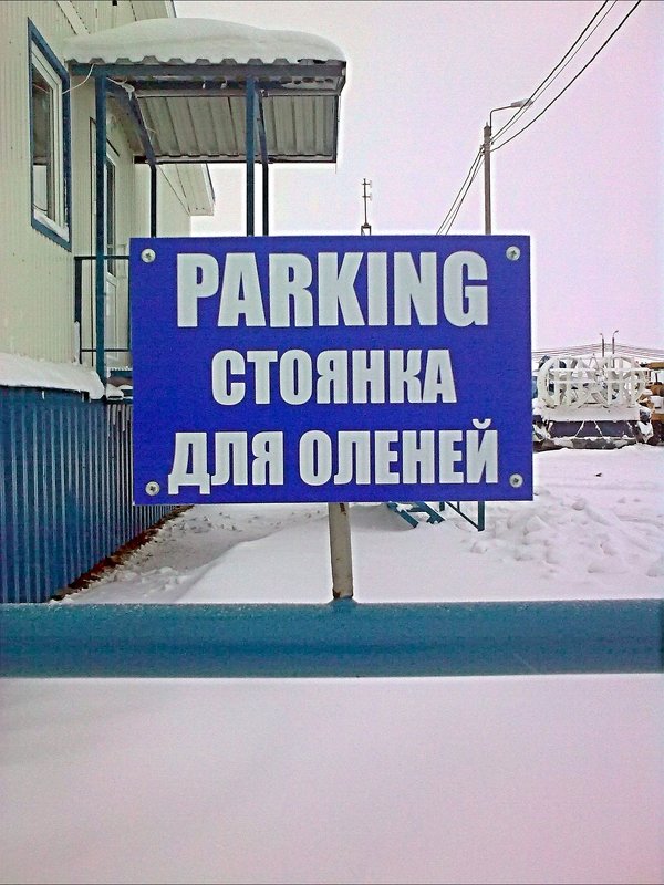 Парковка - Леонид Сергиенко