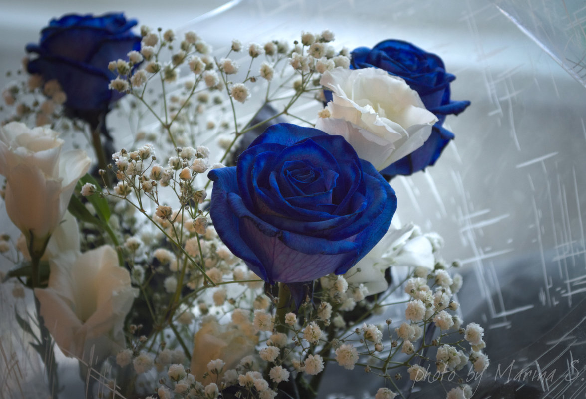 rose, be blue - Marina S 