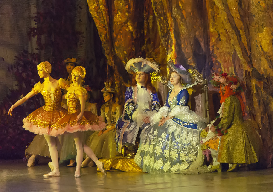 Сцена из балета "Спящая Красавица" - Владимир Максимов