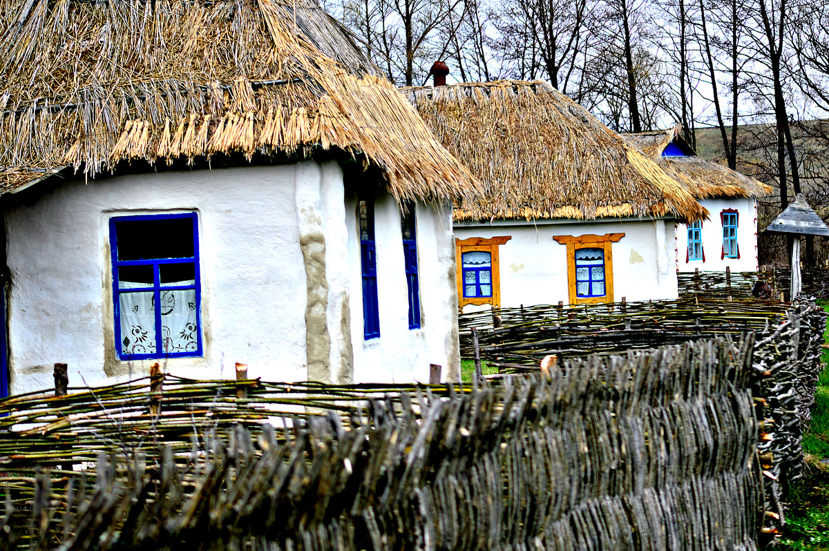 кастрома,прохоровский район - олеся тронько