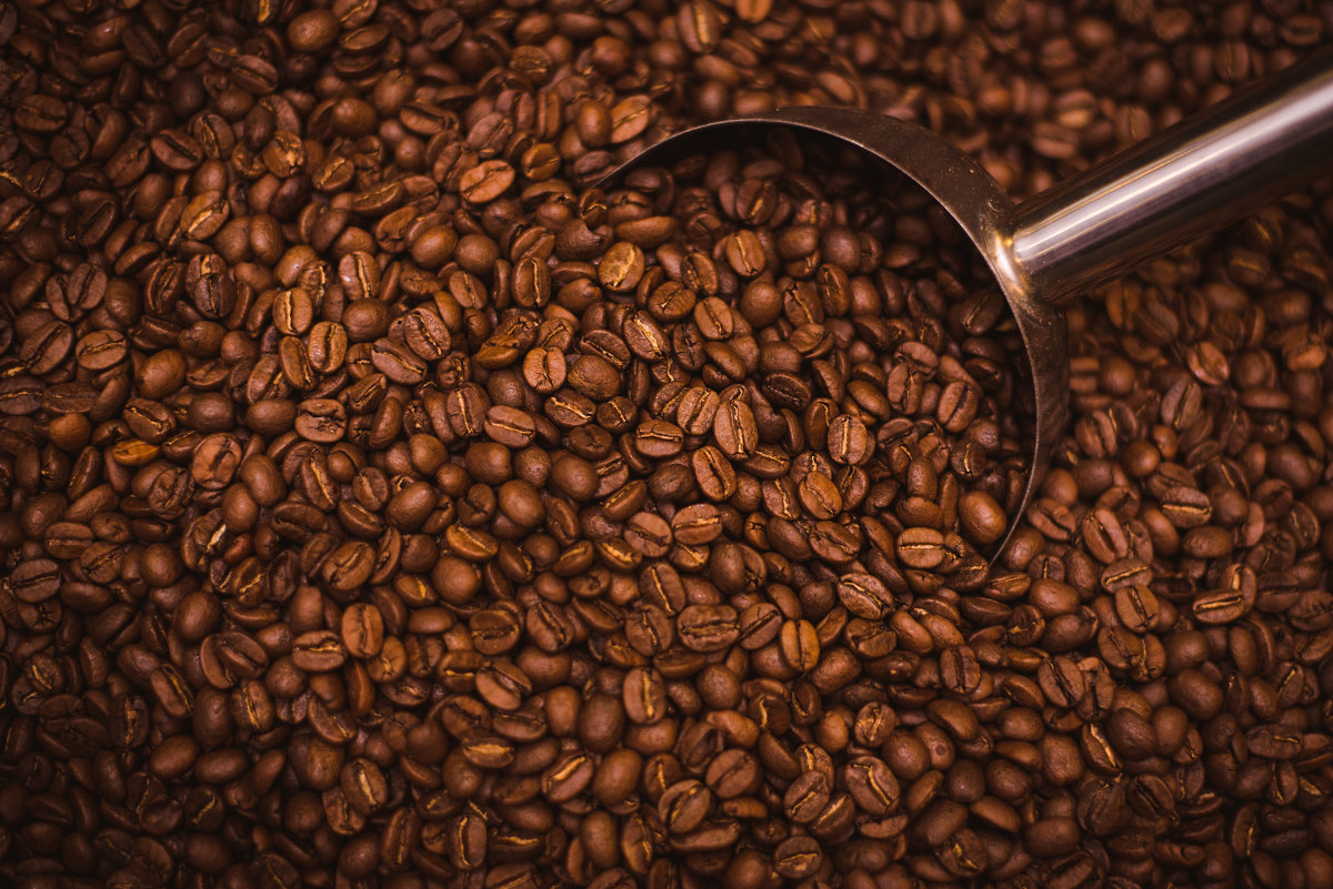 roasted coffee beans - Денис Смирнов