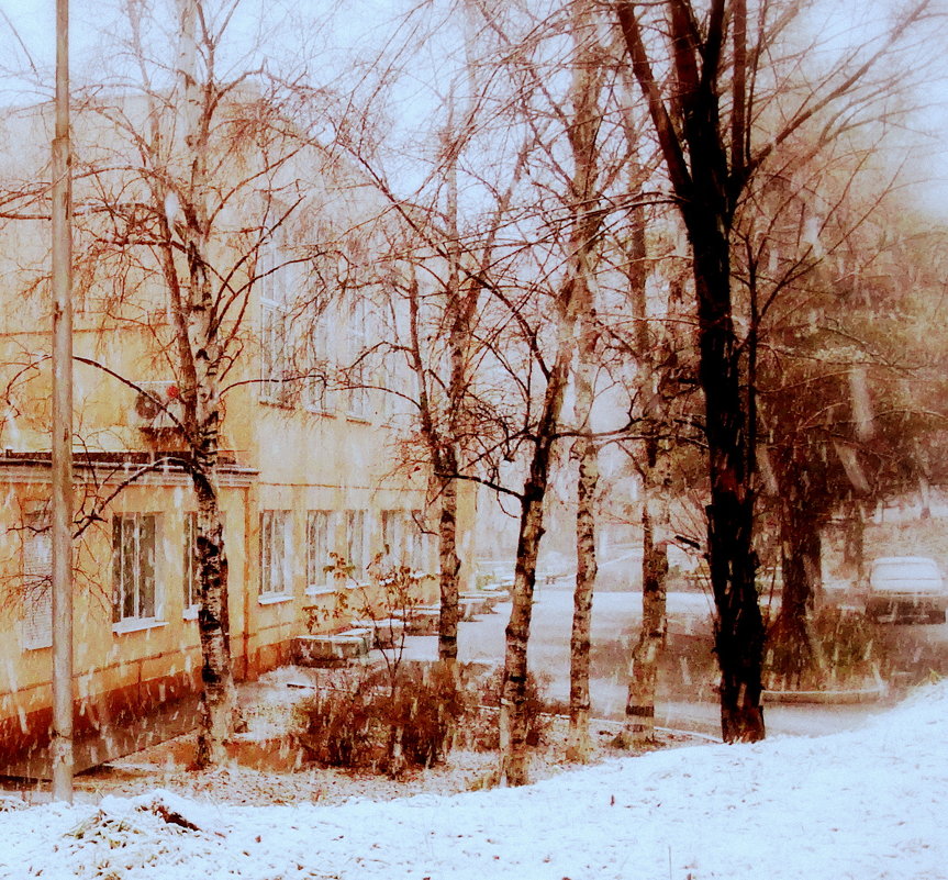 Первый снег - Лилия Гиндулина