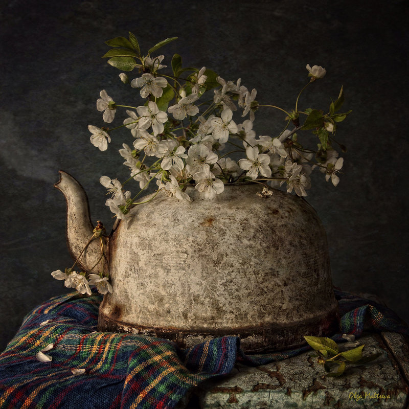 Весна старого чайника - Ольга Мальцева