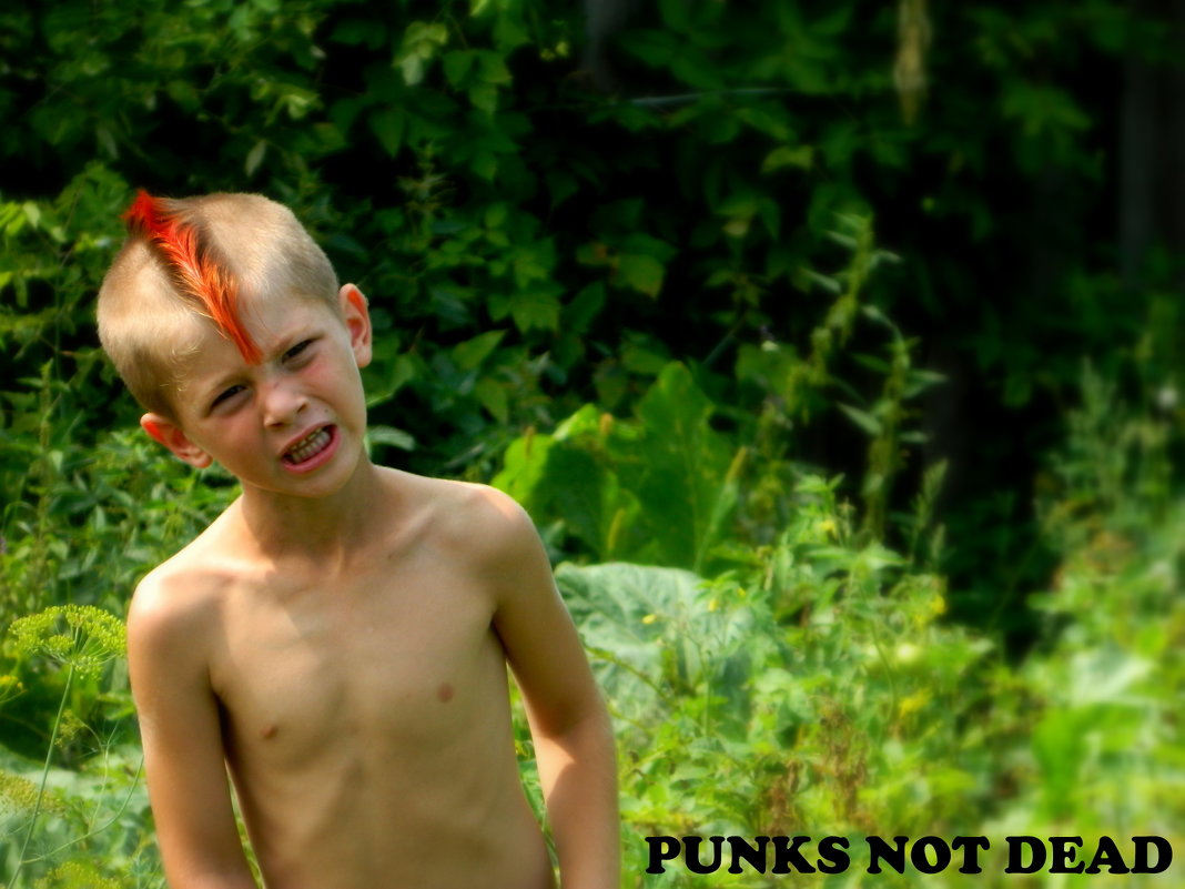 Punks Not Dead - Maggie Aidan