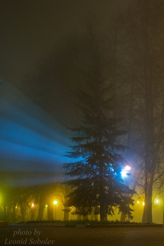 Туманная ночь - Леонид Соболев