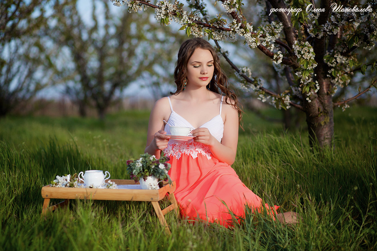 Фотосессия в черешневом саду - Олеся Шаповалова