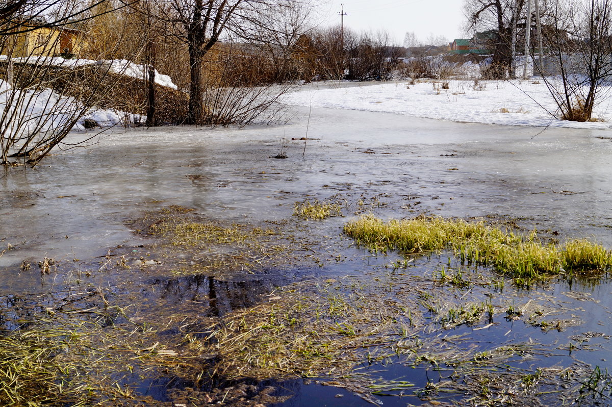 ещё в полях белеет снег,а воды уж весной шумят - Ирина ***