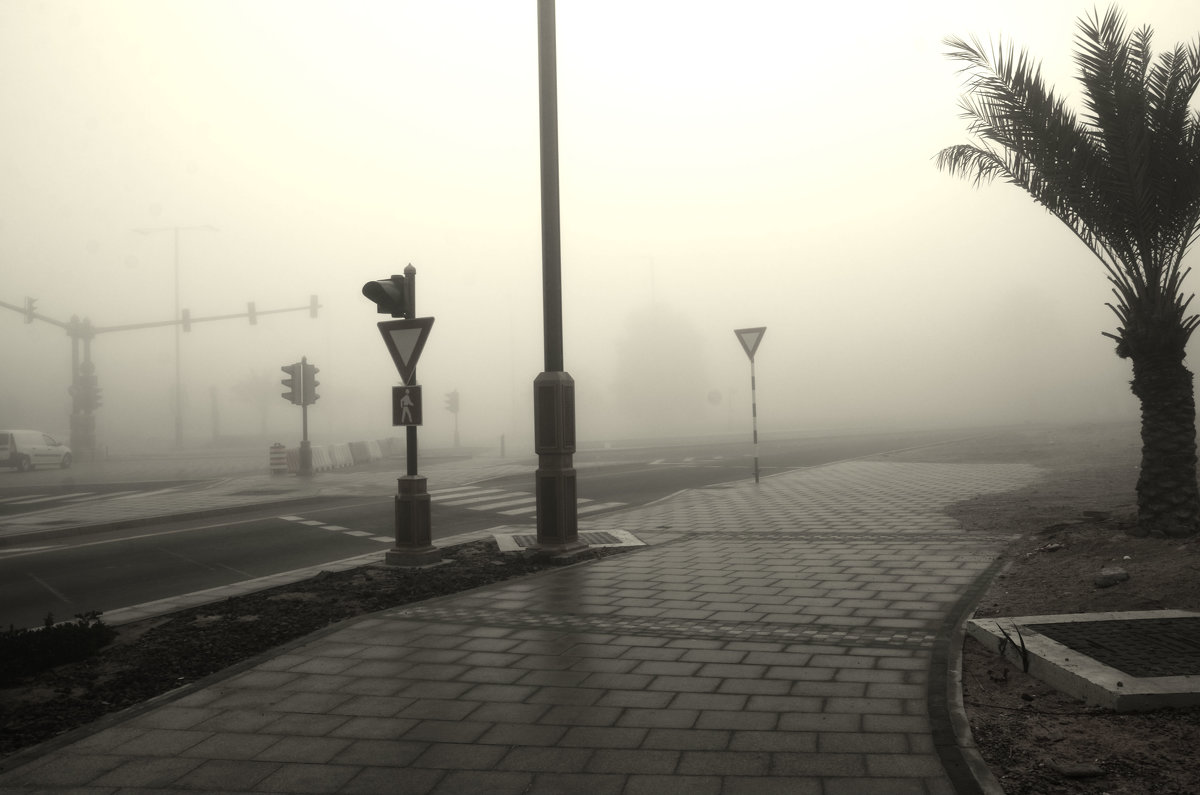 Туман в Абу-Даби - Валентина Лазаренко